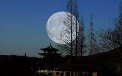 唐诗赏析之子夜吴歌·秋歌，李白在诗中表达了什么隐喻？