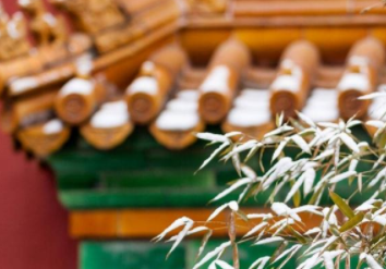 “雪花”的古代称谓有哪些？每个称呼都诗意满满！