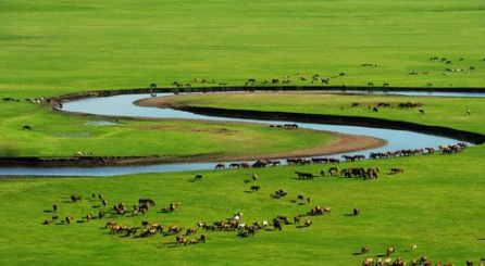 古代匈奴为什么是最早出现的游牧帝国 他们是什么时候出现的