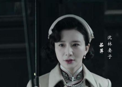 《局中人》沈林为什么不想再结婚？是因为妻子茹萍吗