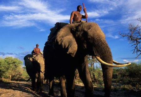 博茨瓦纳：非洲最安全的国家，一半国土用来保护动物