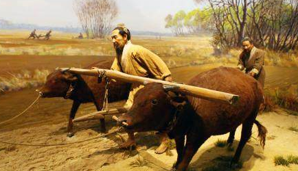 重农抑商简介 改政策产生的原因和什么有关