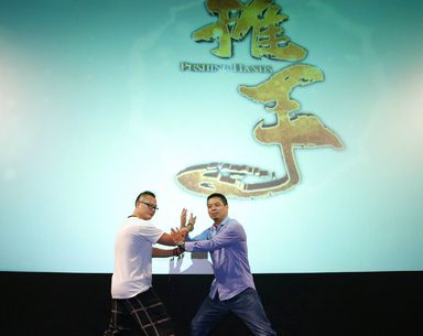 《推手》是贾乃亮主演的吗？剧情主要讲了什么