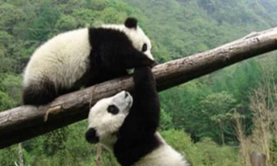 古代四川对于中国为什么会如此重要 揭秘其重要地理位置