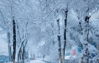 梦到“下雪”有何寓意？都与哪些心理活动相关呢？
