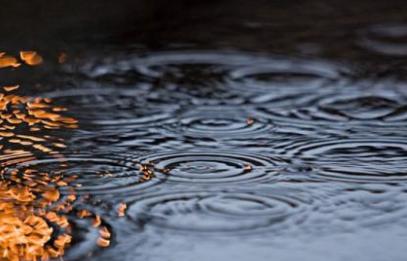 梦到“春雨绵绵”有何寓意？都与哪些心理活动相关呢？