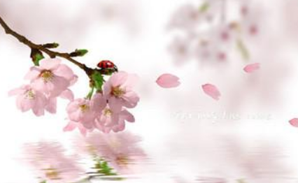 宋词之一落索·杨花终日空飞舞赏析，这首词描绘的是什么内容？