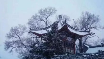清代诗词之菩萨蛮·白日惊飚冬已半赏析，该诗词应如何理解？ 