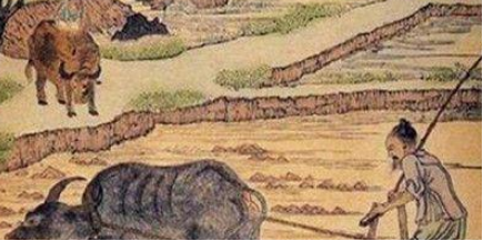 秦国制定了什么土地制度？又为其农业发展起到了什么作用？