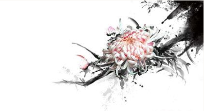 关于菊花的诗词有哪些？诗词的内容分别是什么？