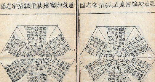 关于成无己的评价是怎样的？他的理论对后世有什么影响