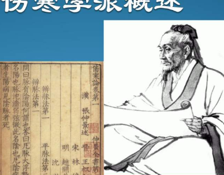 伤寒学派的发展历程是怎么样的？是怎样一步步发展起来的