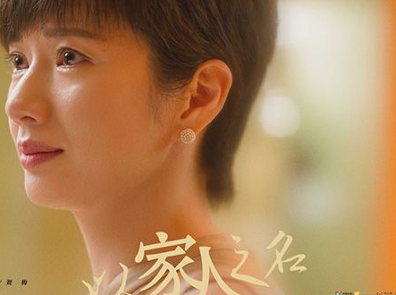 《以家人之名》苑冉为什么会抛弃张新成 贺子秋能不能走出阴影