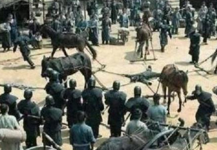 古代诛九族为什么没有人选择逃跑 谁傻谁先跑