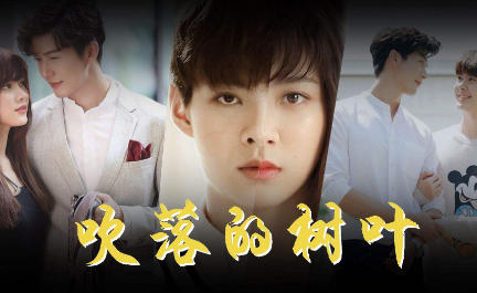 《吹落的树叶》评分怎么样？《吹落的树叶》男主角是谁？
