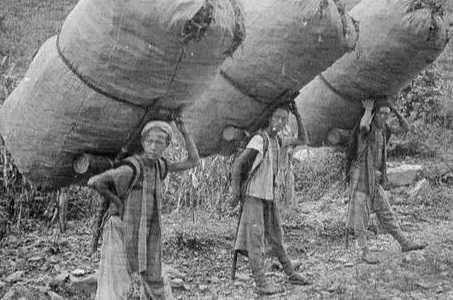 民国初期百姓靠什么来运输东西？