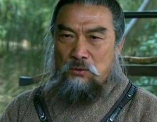 沈庆之的一生是什么样的?三十岁农夫，七十岁率军出征，八十岁被赐毒酒