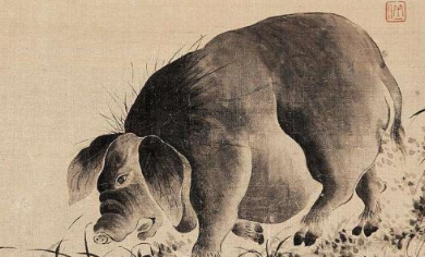古代猪肉为何难登大雅之堂？猪在古代受&ldquo;歧视&rdquo;？