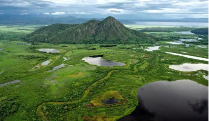 潘塔纳尔湿地：世界上最大的湿地，面积达2500万公顷