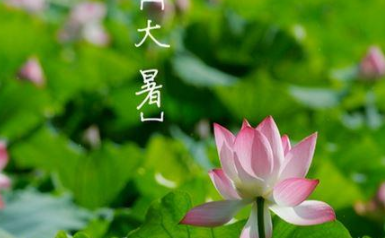 二十四节气中的“大暑”从何而来？都有什么习俗呢？