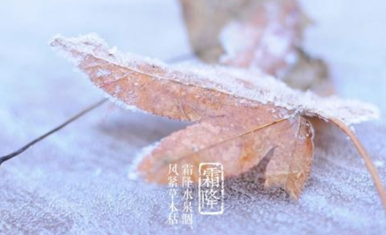 秋季最后一个节气是什么？有哪些写&ldquo;霜降&rdquo;的诗？