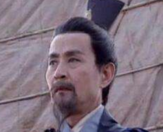 诸葛三兄弟出自同一个家族，为什么分别为不同的国家效力？