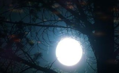 《月夜》是哪位诗人的作品？这首诗词的原意是什么？