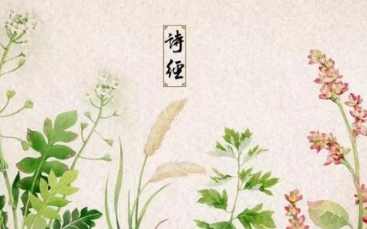 国学著作欣赏：《诗经》国风·魏风