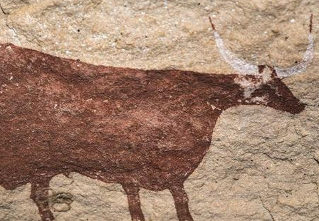 古代牛肉真的不能吃吗 为何吃牛肉会犯法