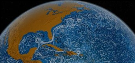 洋流按冷暖性质可分为哪些种类？洋流对气候以及海洋生物有什么影响？