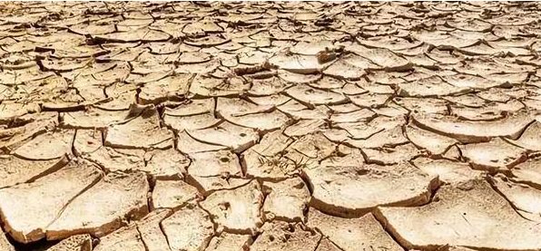 乾隆八年的那个夏天到底热到了什么程度？号称&ldquo;中国历史上最热的夏天&rdquo;