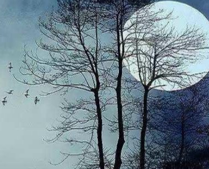 唐朝诗人遭绿林好汉打劫，写下一首诗后主动撤退