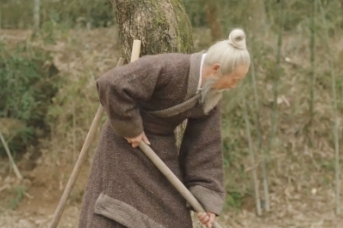 凿壁偷光的匡衡，为什么会从一个英雄式的人物活成了反面教材？