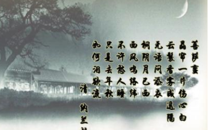 清代诗词之菩萨蛮·晶帘一片伤心白赏析，该诗词应如何理解？ 