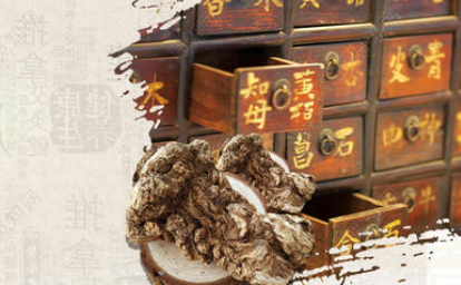中国寓言故事之药商竞富，这篇寓言揭露了什么道理？