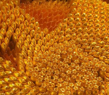 古代皇帝赏赐的金瓜子是什么 为什么被赏赐的人都很开心