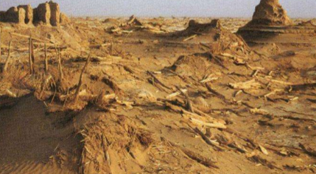 精绝古国简介 历史上对古国上的记载是什么样的