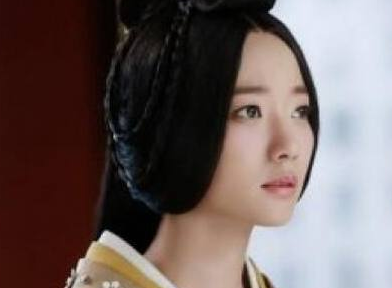 卫媪与小吏私通，生下的儿子成将军，女儿成皇后