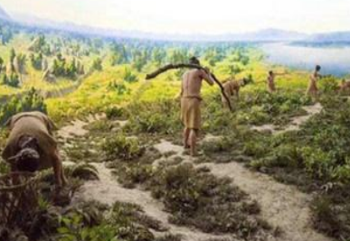 古人的主食都吃什么 每个时代主食都各不相同