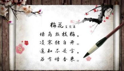 宋诗赏析之梅花，该诗的作者在诗中有什么隐喻？