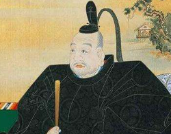 德川家康是如何带领德川家族在乱世中组建幕府的？