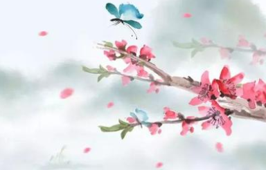 古代国学经典原文欣赏：诗经-	 小雅·南有嘉鱼之什