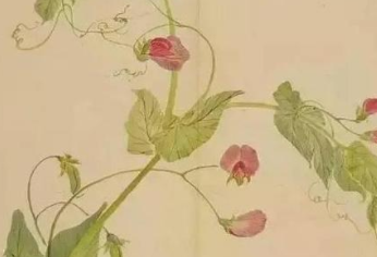 古代国学经典原文欣赏：诗经-国风·豳风