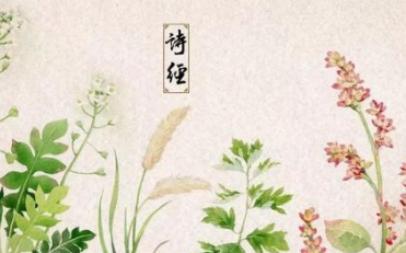 古代国学经典原文欣赏：诗经-国风·秦风