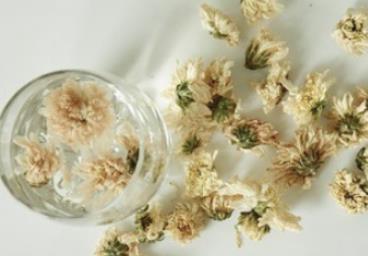 菊花茶的功效与作用，喝菊花茶有什么好处？