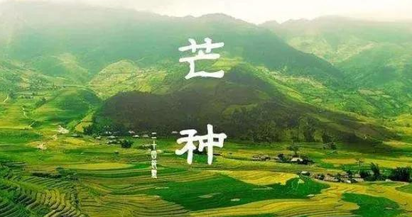 那些二十四节气的俗语都有那些含义，老百姓又是如何运用的呢？