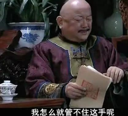 和珅做过侍卫又进过粘杆处 和珅真的很会武功吗