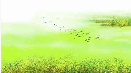 有哪些关于春天的诗?诗中是怎样描绘春天的?