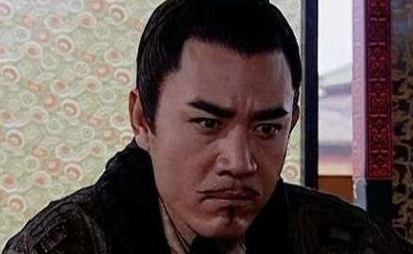 主父偃被诛九族的原因是什么?如何评价他的功过？