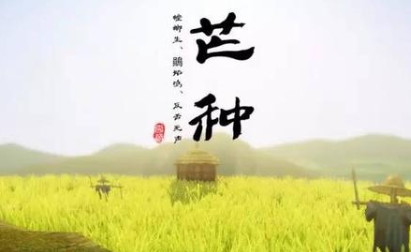 二十四节气中的“芒种”的由来是什么？又会有哪些气候变化呢？
